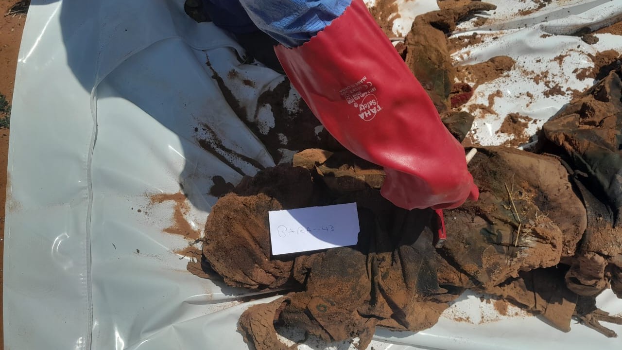 Bara body, North Kordofan